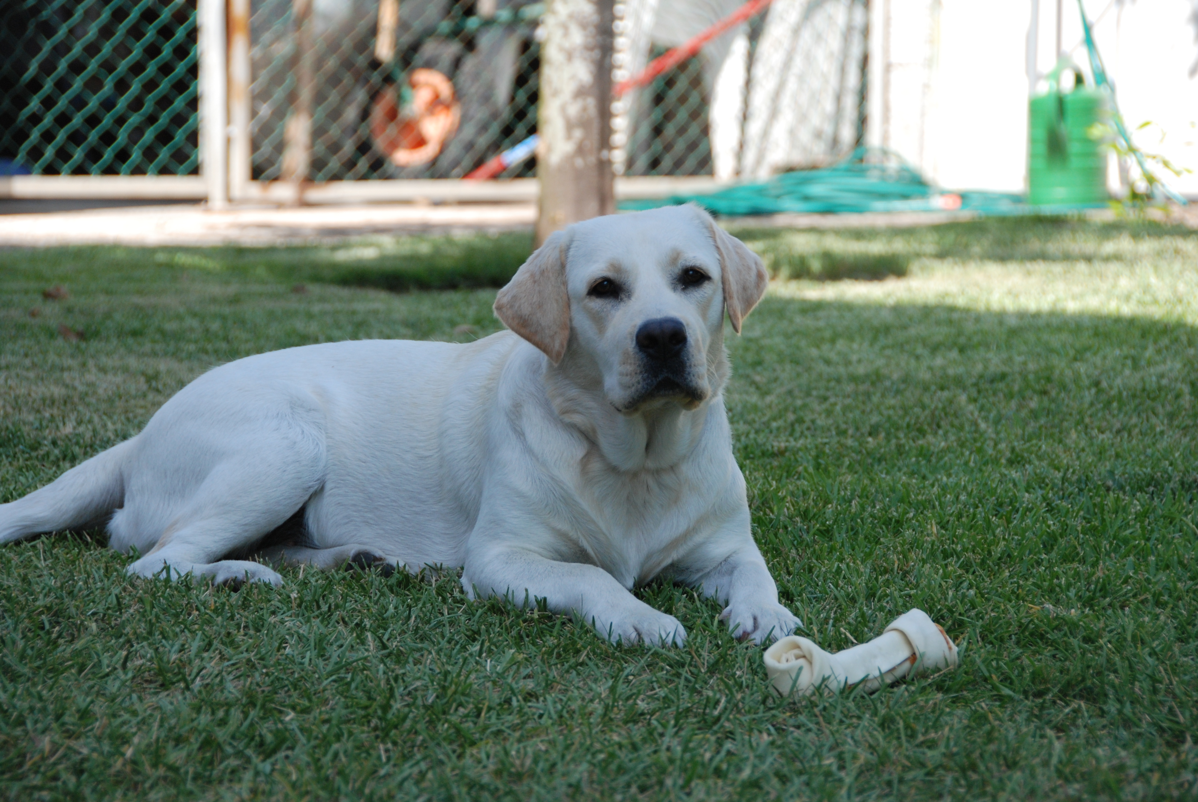 DSC_0073.JPG